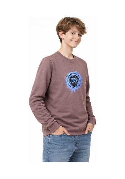 Baglan Erkek Çocuk Ön Arka Baskılı Sweatshirt Bgl-st05230 Vizon