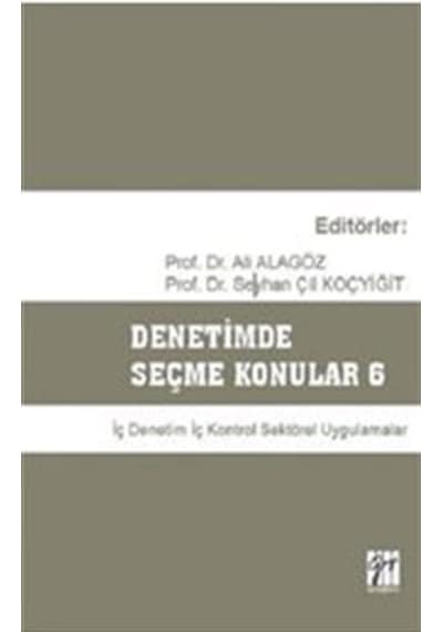 Denetimde Seçme Konular 6 / Doç. Dr. Ali Alagöz
