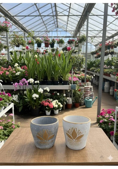 Lotus Çiçeği Desenli Dekoratif Beton Görünümlü Saksı - 2 Farklı Renk Çiçeksizdir