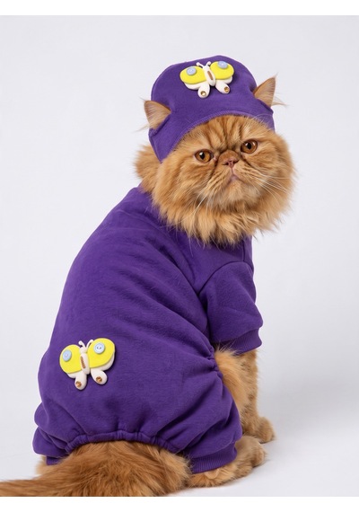 Violet Wings Kedi Bere Ve Tulum Kombini Mor Renk 3d Kelebek Aksesuarlı Penye Kedi Kıyafeti 2 Parça