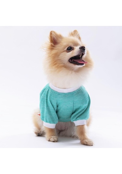 Pawstar Mint Dude Kedi Köpek Sweati Kıyafeti