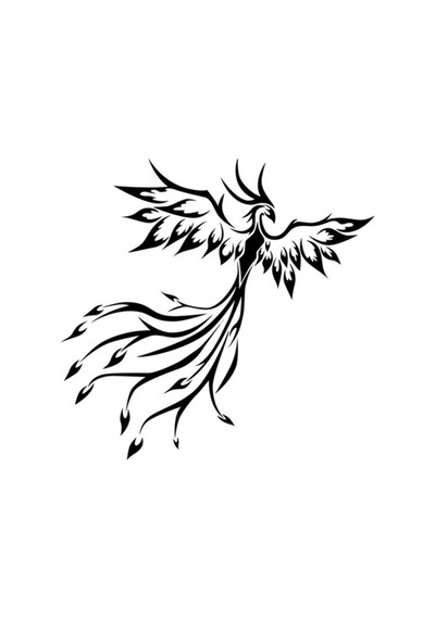 Phoenix Kuş Araba Sticker Yapıştırması 19Cm Siyah Renk