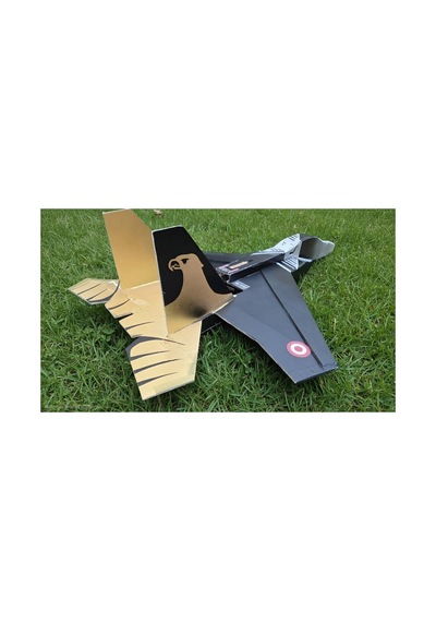F-15 Solo Türk Temalı Fotoblok Rc Model Uçak Tam Paket Kit Flysky İ6x Kumandalı Diğer