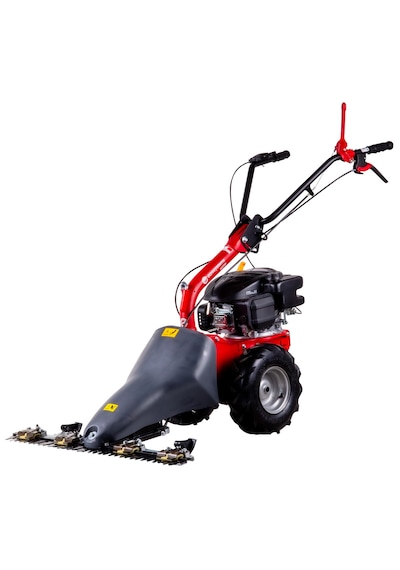 Eurosystems M210 Benzinli Çayır Biçme Makinesi