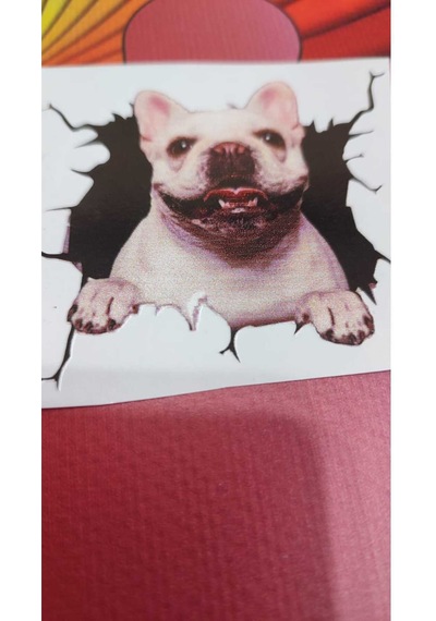 3d Hayvan Desenli French Köpek Figürlü Sticker Etiketi