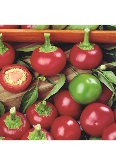 Red Cherry Tatlı Biber Tohumu 50 Tohum