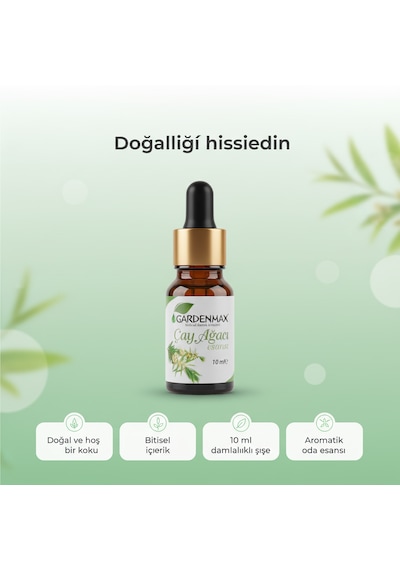 Gardenmax Buhurdanlık Esasnsı Çay Ağacı Çay Ağacı