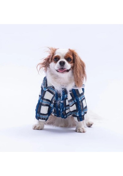 Pawstar Mavi Chicago Checks Küçük Irk Köpek Pofuduk Ceket