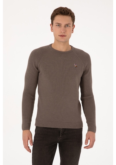 U.S. Polo Assn. Erkek Regular Fit Bisiklet Yaka Vizon Kazak 50314983-VR052