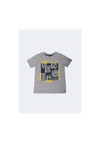 Fenerbahçe Lisanslı Çocuk Tribun Fb Logo Gri T-shirt Gri
