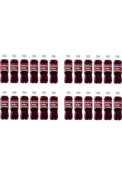Doğanay Şalgam Suyu Acısız 300 Ml X 24 Adet