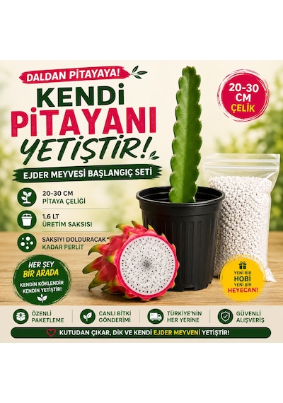 Kendi Pitayanı Yetiştir Ejder Meyvesi Başlangıç Seti 20-30 Cm Çelik + 1,6 L Saksı + Perlit