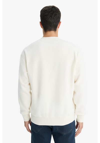 Defacto Relax Fit Bisiklet Yaka Polar Sweatshirt F3685ax25wner140 Ekru-er140