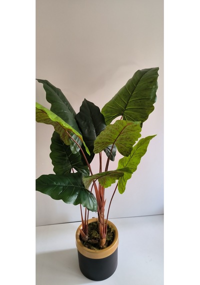 Rüzgar Yapay Çiçekçilik 160 Cm Fil Kulağı Ağacı Yeşil