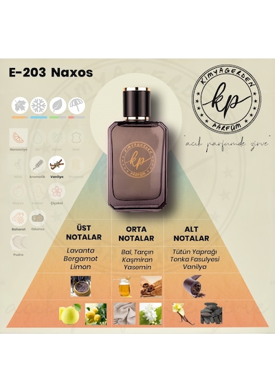 KP E-203 Erkek Parfüm EDP 50 ML