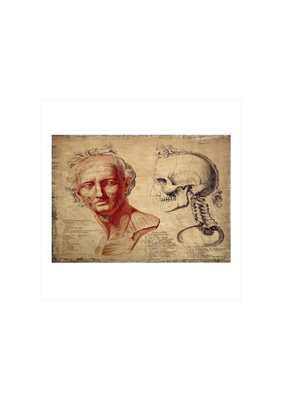 Bedeko Yüz Anatomisi Desenli Ahşap Tablo 50 Cm X 70 Cm