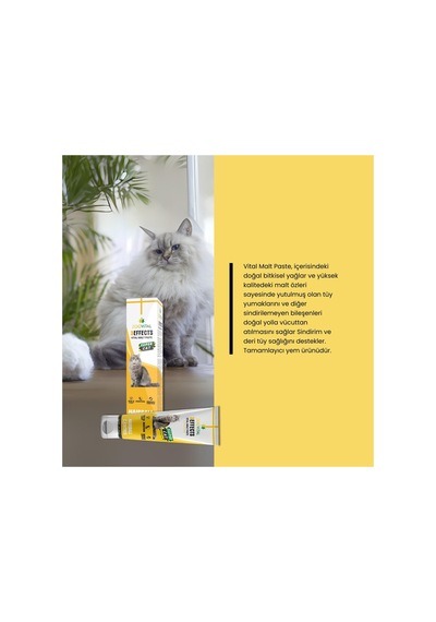 Malt Paste 3 Etkili Kedi Macun 100 Gr 2 Adet