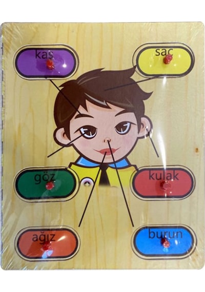 Can-Em Canem 8 Asorti Tutmalı Ahşap Puzzle