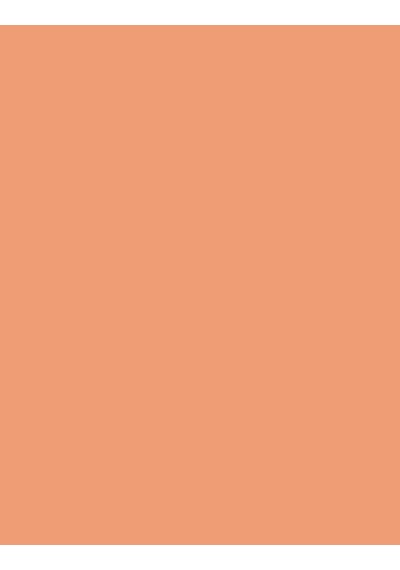 Baked Blush 106 Sensual Rose Diğer
