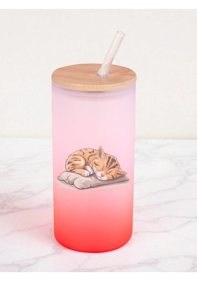 Uyuyan Kedi Baskılı 600 Ml Cam Matara- Su Matarası, Suluk Matara, Cam Pipetli Matara Kırmızı