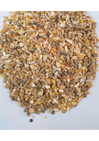 Özel 14 Karışımlı Dogal Gezen Tavuk Yemi 50Kg