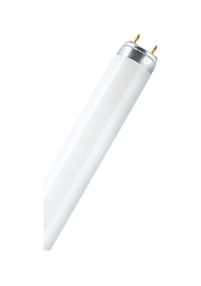 AMP FLORE T8 G13 15W BL SİNEK(45 CM)