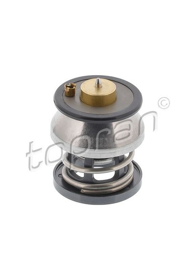 Topran Termostat Demir Tpr-504103001