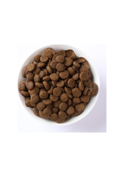 Pumpkin Kuru Köpek Maması, Tahılsız, Yaban Domuzu Ve Elmalı, Yetişkin Mini, 7 Kg