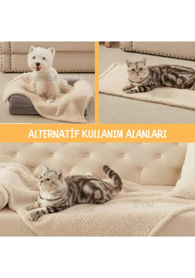 Beylini Peluş Kedi Köpek Battaniyesi Yıkanabilir 80 x 100 CM Krem