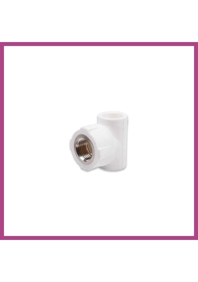 Gees Global Pprc 20mm1/2 İç Dişli T 1 Adet Gbzs