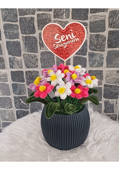Saksılı Masa Çiçeği Renkli Papatya Buketi Geçmiş Olsun Çiçeği, Yeni İşin Hayırlı Olsun Çiçeği.. Çok Renkli