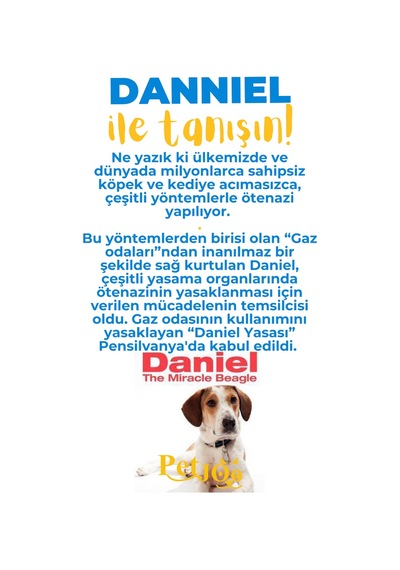 Petjoo 21.Danniel Sarı-Mavi Qr'lı Köpek Künyesi
