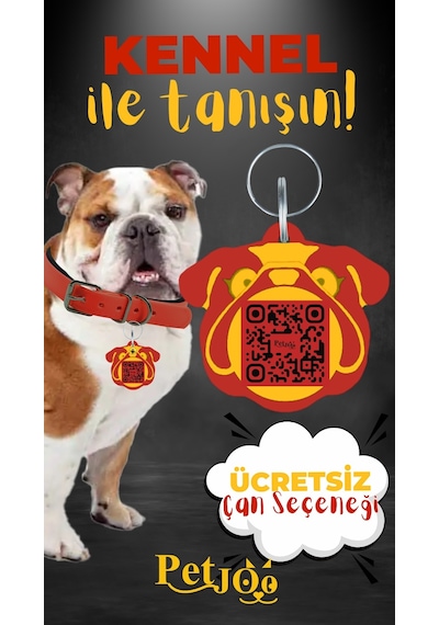 Petjoo 16.Kennel Sarı-Kırmızı Qr'lı Köpek Künyesi