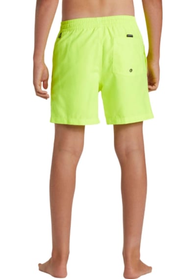 Quıksılver Quiksilver Everyday Solid Volley Yth 14 Erkek Çocuk Sarı Volley Short Yhj0 Çok Renkli
