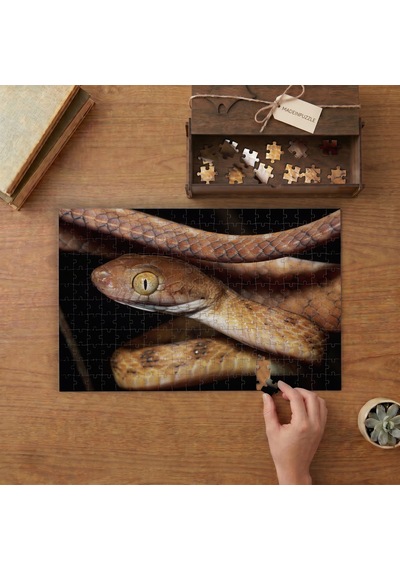 Kahverengi Ağaç Yılanı Tasarımı 240 Parça Ahşap Puzzle Ahşap Kutuda Mpy60202