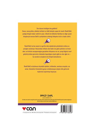 Can Yayınları - Senin Gibi Biri - 9789750738548