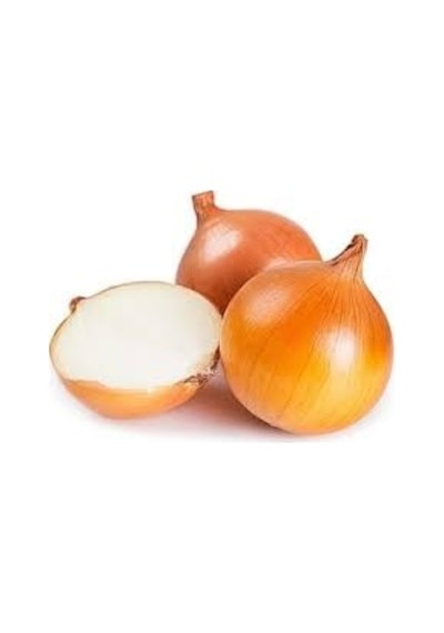 300 Adet Tohum Nadir Hobi Bahçe Kışlık Kuru Soğan Tohumu
