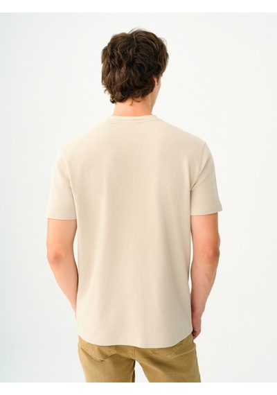 Regular Fit Erkek Tshirt K.kol Taş