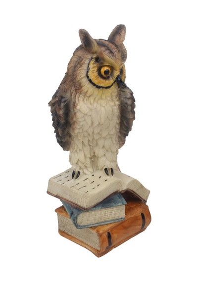 Feng Shui Kitap Üzerinde Bilge Baykuş Biblo 23 Cm Dekoratif Şans Getiren Lüks Ev Ofis Hediyesi Obje