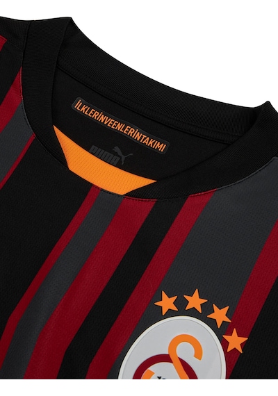 Galatasaray Puma 2024/2025 Alternatif Forma 77965403