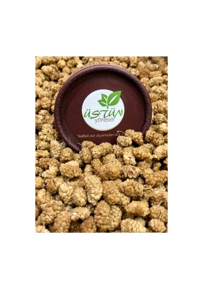 Naturel Dut Kurusu 500 Gr Diğer