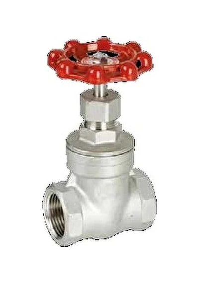 3/4" Paslanmaz Şiber Vana Dişli 316