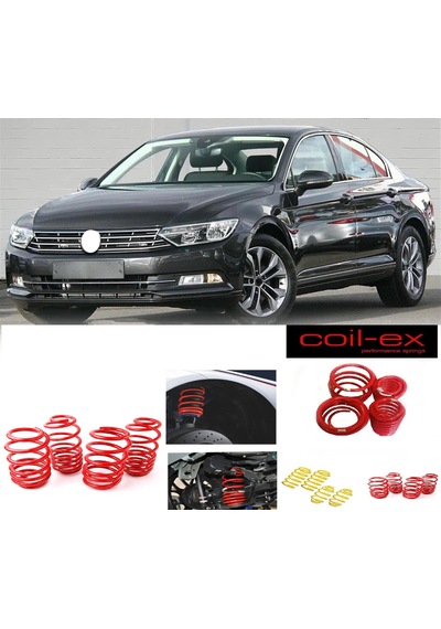 Vw Passat B8 2014-2019 Benzin Uyumlu Coil-ex 3.5 Cm Spor Yay