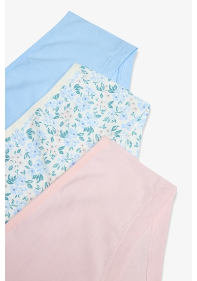 Penti Çiçek Desenli Dream Flower Normal Bel 3'lü Hipster Külot