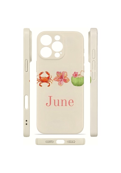Apple iPhone Uyumlu 16 Pro Vorian İnce Kamera Korumalı Mika Kılıf June Seaside June Seaside Mika