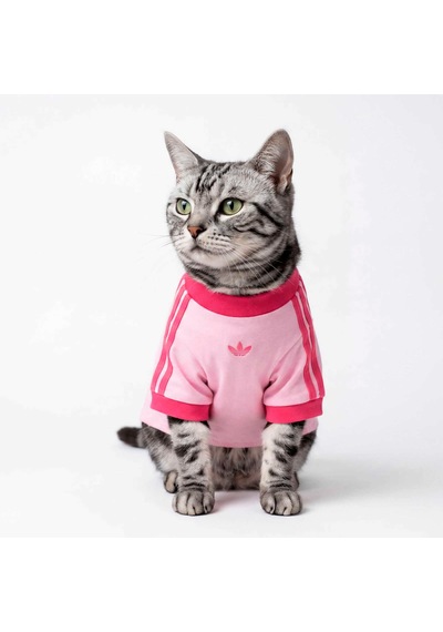 Adidas Originals Pembe Pet Cali Tişört Ky8729