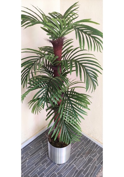 Rüzgar Çiçekçilik 150 Cm Palmiye Ağacı Yeşil