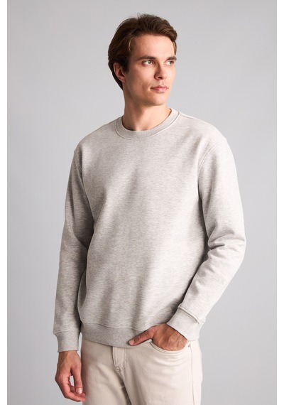 Defacto Regular Fıt Bisiklet Yaka Basic Sweatshırt H5180ax26augr210 Gri-gr210