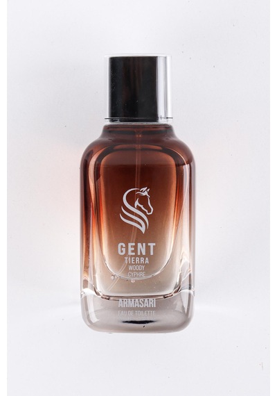 Armasari Gent Tierra Odunsu Uzun Süre Kalıcı 100 Ml Edp Erkek Parfüm