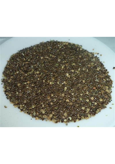 Sanita Isırgan Tohumu 1 KG
